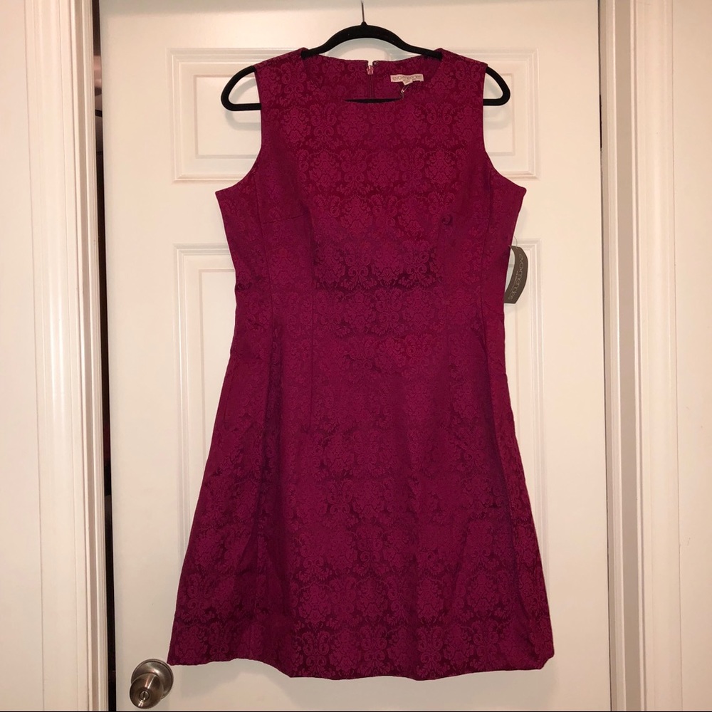 BNWT NY & Co Eva Mendes Maria Jacquard Dress sz14